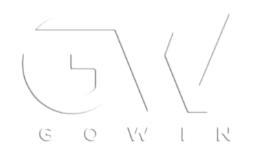 Go Win Srls Logo