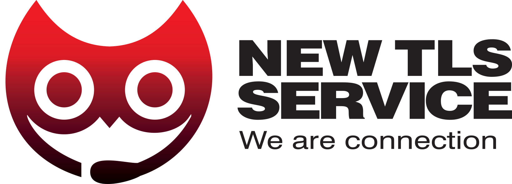 New Tls Service Srl Logo