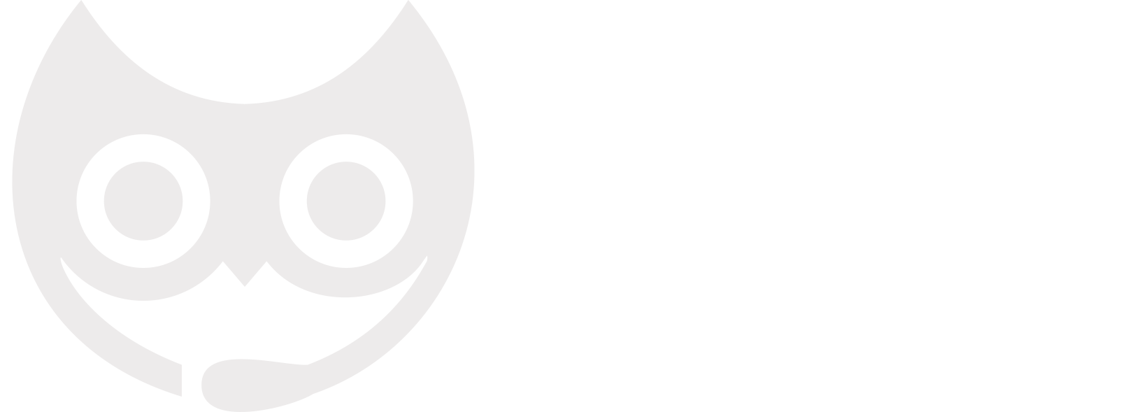 New Tls Service Srl