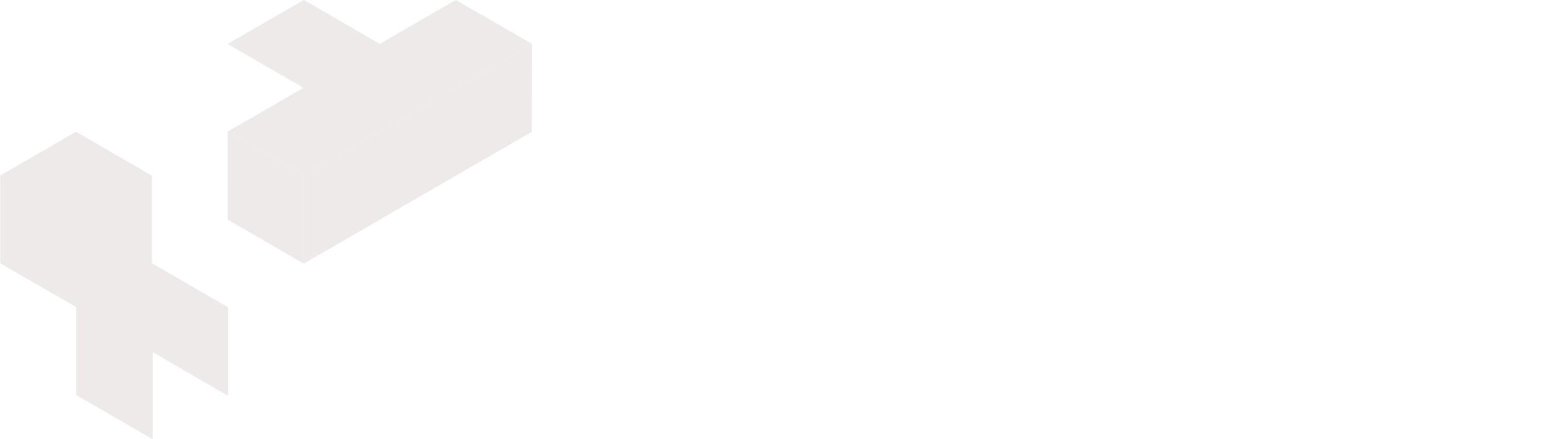 Partner Solution Srl
