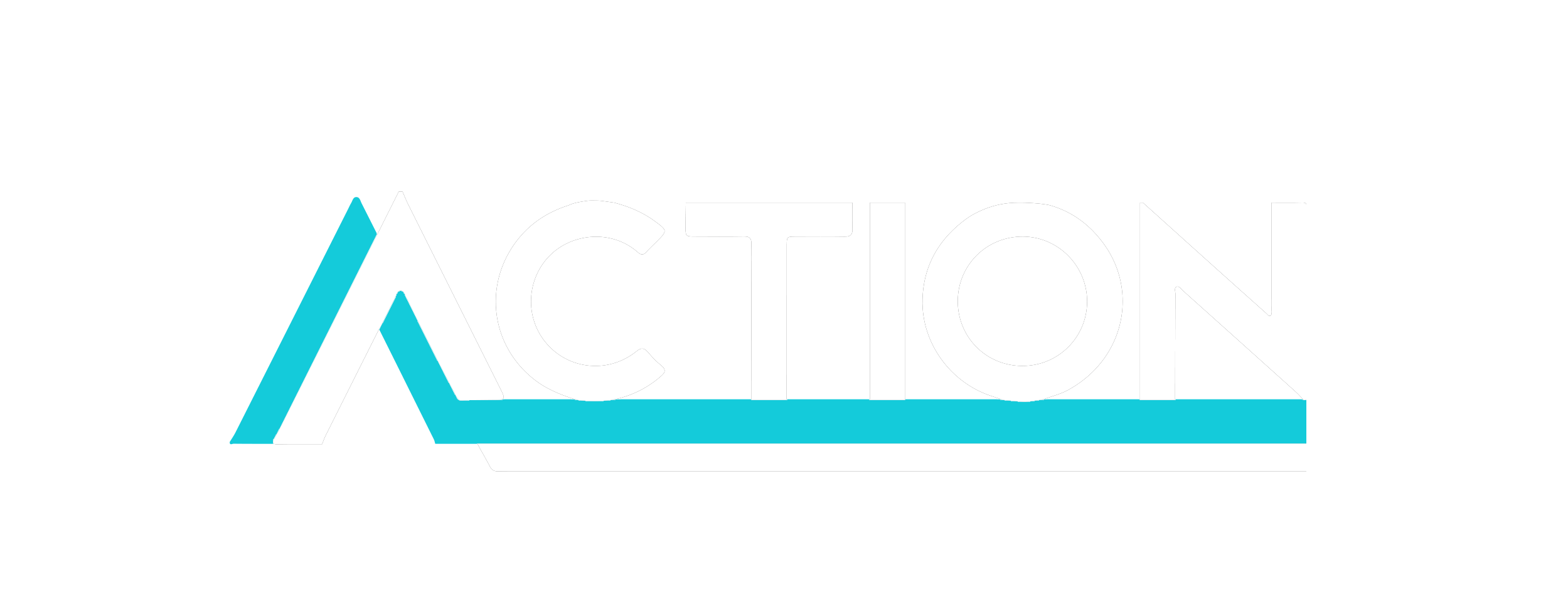 Action Srl