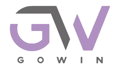 GoWin Srls